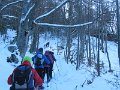 IMG_0011
