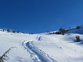 IMG_0017