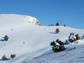IMG_0036