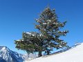 IMG_0052