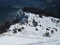 IMG_0054