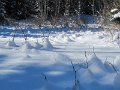 IMG_0058