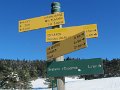 IMG_0059