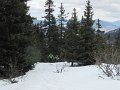 IMG_0004