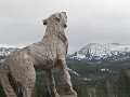 IMG_0012
