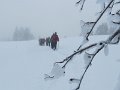 IMG_0022