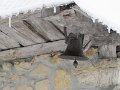 IMG_0023