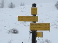 IMG_0027