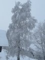 IMG_0029