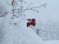 IMG_0040