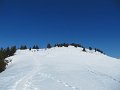 IMG_0017