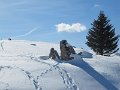 IMG_0029