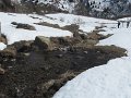 IMG_0060