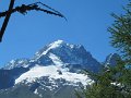 IMG_0081
