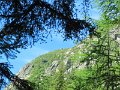 IMG_0083