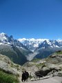 IMG_0164