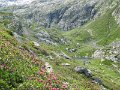 IMG_0173