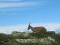 IMG_0175
