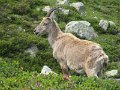 IMG_0176