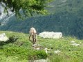 IMG_0177