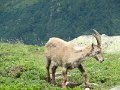 IMG_0178