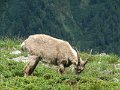 IMG_0179