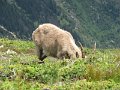 IMG_0180