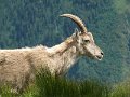 IMG_0182