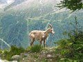 IMG_0184