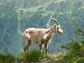IMG_0185