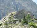 IMG_0194