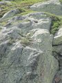 IMG_0196