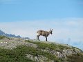 IMG_0198
