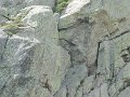 IMG_0199