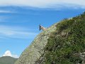 IMG_0201