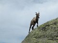IMG_0202