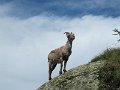 IMG_0203