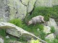 IMG_0204