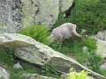 IMG_0205