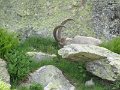 IMG_0206