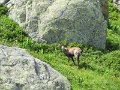 IMG_0208