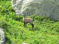 IMG_0209