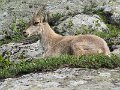 IMG_0211
