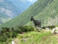 IMG_0217