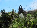 IMG_0224