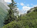 IMG_0225