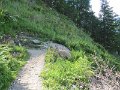 IMG_0227