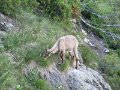 IMG_0229