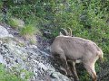 IMG_0230