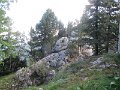 IMG_0012